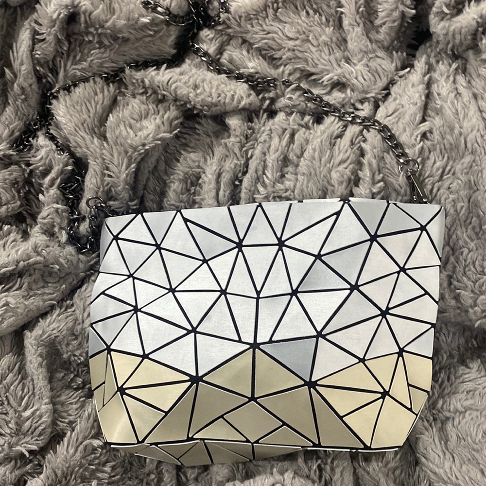 Patricia Luca Silver and Gold crossbody. Chain can be removed to be a clutch!